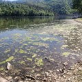 Građani zasukali rukave i čistili jezero Međuvršje: Za nekoliko sati izvučena velika količina trave