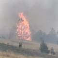 Hitna situacija na srpskoj planini! Grom udario u stablo, pa izazvao veliki požar: Vatrogasci na licu mesta