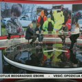 Šta sve znamo o nestanku danke Ilić: U "Jutru na Blicu" analiziramo najnovije informacije: Snimak iz Beča, obrisane poruke…