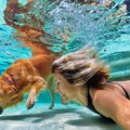 Snimak psa na dnu bazena izbezumio ljude: Rešite misteriju VIDEO