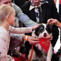 Kanski filmski festival: Pas osvojio nagradu "Palm Dog"