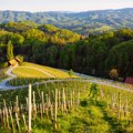 Predlog za vikend - otkrijte slovenački vinski turizam