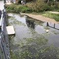 Banjska tone u fekalije, meštani mole nadležne da preduzmu nešto