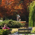 Boli li vas glava? Ovo su najnovije brojke sa sajta RHMZ! Širom Srbije letnje temperature