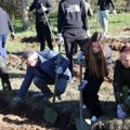 Ministarka Sara Pavkov u Vranju: Na Aleksandrovačkom jezeru biće zasađeno 3.500 sadnica crnog bora