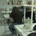 Zaječar traži način da zadrži đake kroz nova zanimanja i kampanje: Koje su najtraženije srednje škole u gradu