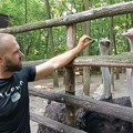 (Foto/video) Šuma kod Subotice krije egzotičnu tajnu: Svetlana i Norbert čuvaju džinovske ptice od 150 kila, a zbog Mukija i…