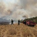 Zajedno pobeđuju srpski i grčki vatrogasci spasili najmanje 40 kuća Grci ispunjeni emocijima i zahvalnošću