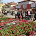 Prolećni Festival cveća: Tradicionalno u Žitištu