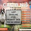 31. CACIB Niš: Međunarodna Izložba Pasa u Popovcu