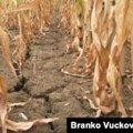 Degradacija zemljišta globalni problem, objavljeno na Svetski dan borbe protiv suše