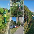 Gradsko zelenilo aktivno na 50 lokacija Zalivaju i okopavaju drveće, cveće i šiblje i kose travu