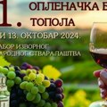 Oplenačka berba grožđa: Vinogradari i ljubitelji vina ponovo na okupu u Topoli