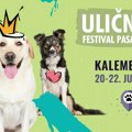 Festival pasa svih rasa „Ulični psi” tradicionalno na Kalemegdanu