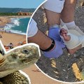 Morska kornjača napala ženu na plaži u Grčkoj, povređeno i dete: Za dlaku izbegla amputaciju, spasioci apeluju