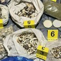 U Beočinu uhapšen muškarac u čijem stanu je policija pronašla amfetamin