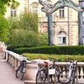 Zelenilo na skoro 34, turističko-sportska zona na 25 hektara: Ovo je predlog plana park-šume u Novom Sadu