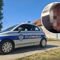 Ovo je sin koji je telo doktorke stavio u zamrzivač! Majka ga je obožavala, stalno je govorila: Moj Mića, moj Mića (foto)