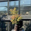 Policija identifikovala maloletnike koji su 5. oktobra zapalili "Manir" na Novom Beogradu! Ovo su detalji.