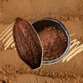 Superfood: Sve što treba da znate o sirovom kakau