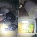 Arsenal oružja pronađen u specijalnom bunkeru ispod kuće u Zemunu: Uhapšeni zaćutao na saslušanju, u kući čuvao i bombe