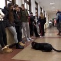 Kako su đaci iz Gornjeg Milanovca pomogli napuštenom psu