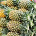 Za šta je sve dobar ananas: Jedite ga ako ste prehlađeni ili imate upalne procese