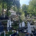 Jazavci šokirali Ivanjičane: Upadaju na groblje i kopaju podzemne hodnike, sve ih je više, a šteta ogromna