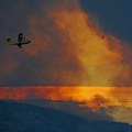 Veliki požar na ostrvu Čiovo u Hrvatskoj: Na terenu 150 vatrogasaca, šest aviona gasi vatrenu stihiju (video/foto)