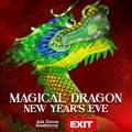 EXIT festival donosi jedinstvenu karnevalsku povorku za proslavu Kineske Nove godine u Beograd