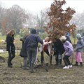 Centralni seoski park u Ruskom Selu postaje zelena oaza na 2,5 hektara