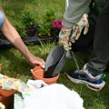 Zelene aktivnosti kod kuće: kako mali koraci čine veliku promenu