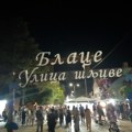 Blace bira izvođače za „Dane šljiva“