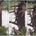 (Video) Bujica nosila devojku (22) 19 kilometara, izbavili je u poslednji čas: Svet obilaze dramatični snimci iz Teksasa! "Čuo…