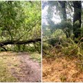 Slike horora iz Pančeva Stabla počupana, olujni udari izazvali totalni haos! (foto)