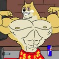 Meme kriptovaluta Maxi Doge Brzo Sakupila 800.000$ – Sledeća Stanica je 1.000x da Skine Dogecoin sa Trona