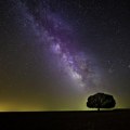 Pet medalja na olimpijadi iz astronomije i astrofizike u Mumbaju za učenike iz Srbije