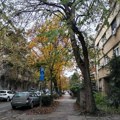 Novosađani, spremite se za četvrtak: Zatvoren most, kiša i moguća gužva