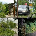 (Foto) Olujno nevreme napravilo haos u Somboru. Ekipe „Zelenila“ uklanjaju oborena stabla i grane na više lokacija u gradu…