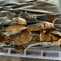 Marihuana sakrivena u paketu punom kafe: Pokušaj krijumčarenja otkriven na Kelebiji