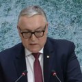 Ljubinski: Nemačke vlasti ignorišu istorijsku odgovornost prema SSSR-u