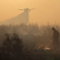 Gori selo na 60 kilometara od Moskve: Plamen zahvatio više hiljada kvadrata, vatrogasci se bore sa stihijom