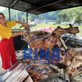 Vola od 600 kilograma ova dama obrće sama: Sanja ponovo oduševila sve u Guči, ona je jedina žena u Srbiji koja peče bika…