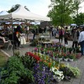 Održana izložba cveća i sadnog materijala i festival vina i rakije