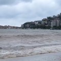 More izbacilo ogromnu životinju na površinu Tužan prizor na plaži u Budvi (video)