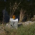 Maturanti iz Pirota osmislili uređaj koji upozorava na opasnosti na reci