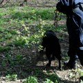 Ubica se odao kada je patroli ukrao leš dede Krvavi pir i haos počeli zbog međe