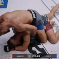 Janičić razornim udarcima razneo Bojkovića: Krv šikljala na sve strane - sudija prekinuo meč! (video)