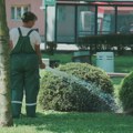 BORBA SA VRUĆINAMA: JP “Komunalac” održava više od 200.000 metara kvadratnih zelenih površina