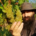 Nove butik vinarije i veliki igrači naš adut u utakmici sa klimom